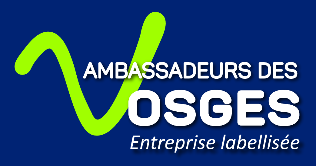 logo bleu ambassadeur